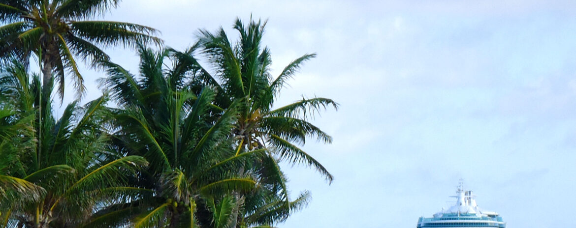 bateau de croisière ancré en mer au large de la côte caribéenne avec un palmier et la plage en avant plan